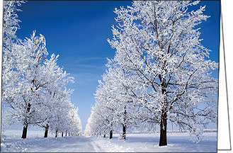 Weihnachtskarte mit verschneiter Winterlandschaft in blau